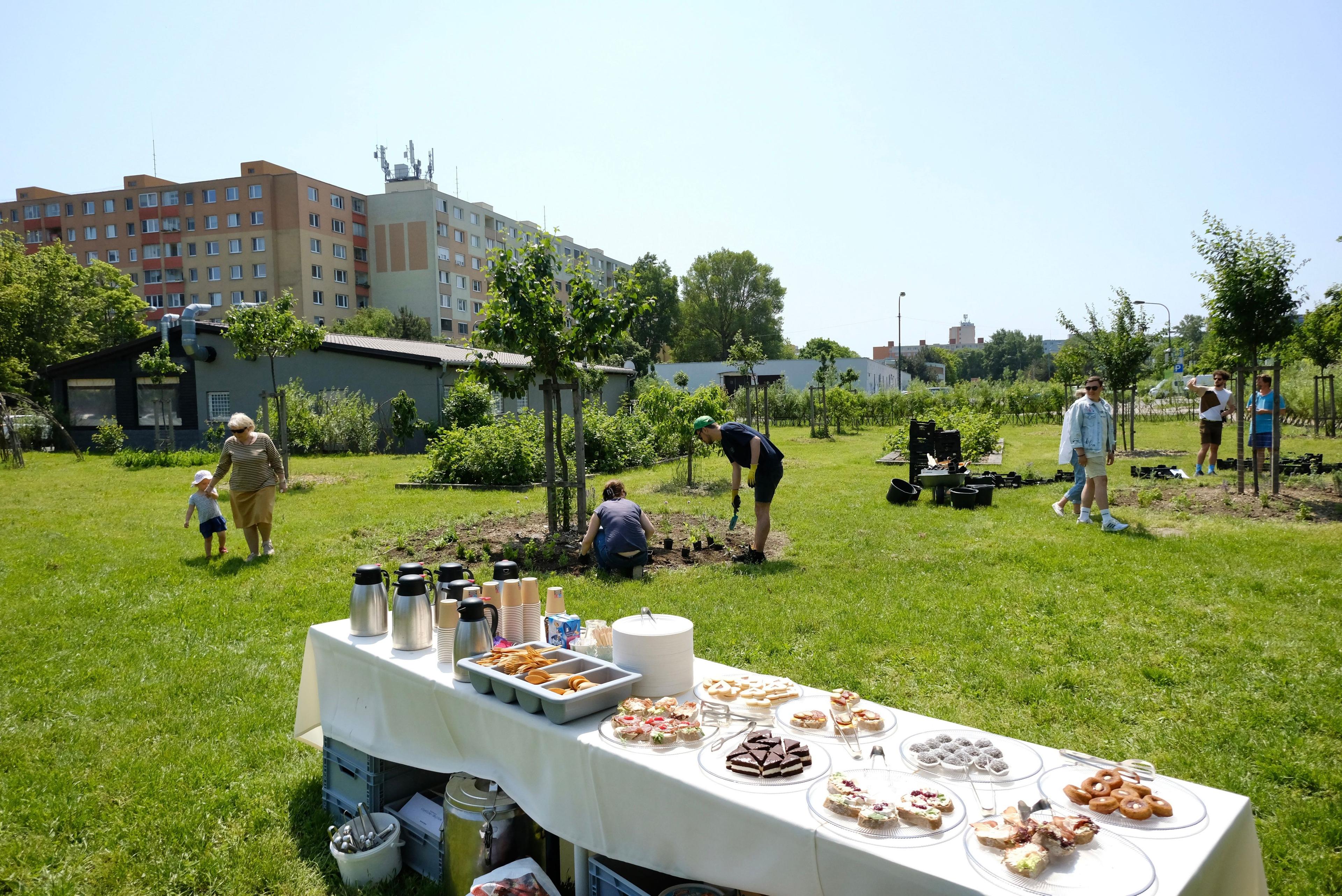 Mestský ovocný sad - úvodný sadiaci event, dobrovoľníci vysádzajú trvalky