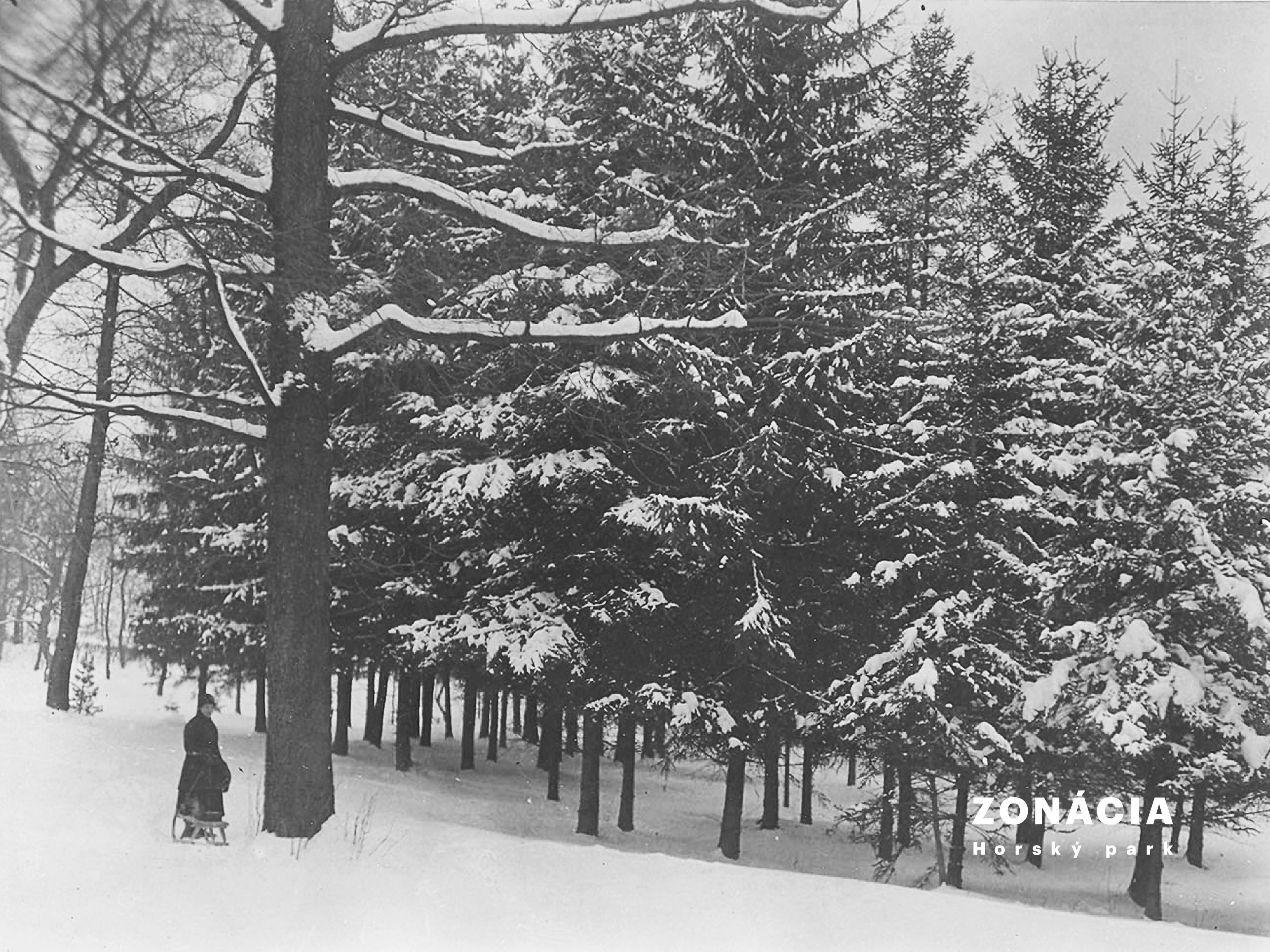 Historická fotografia Horského parku